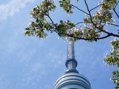 -龟山风景区-龟山电视塔