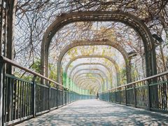 -金鸡山公园