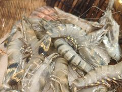 -蓝珊甄选海鲜自助·火锅大排档(近阿那亚店)