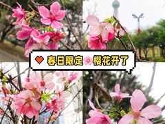 -文华公园(禅城区)