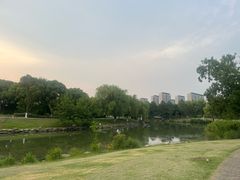 -九里河湿地公园