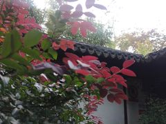 -秋霞圃