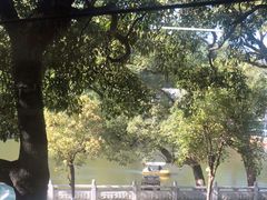 -潮镇老尾牛杂(环城西路店)