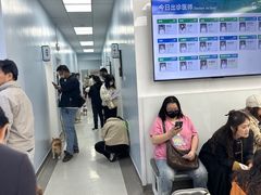 -中国农业大学动物医院