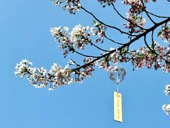 -堤角公园