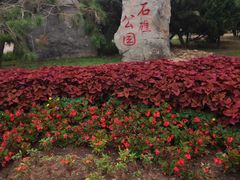 -黑石礁公园