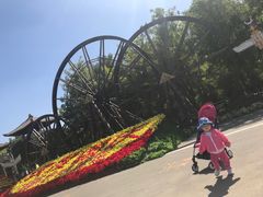 -呀路古热带植物园