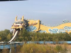 -太阳部落
