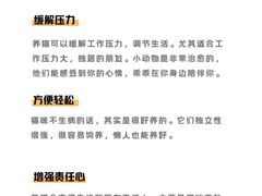 -纳吉亚猫专科动物医院博雅分院