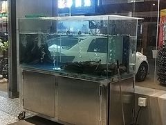 -本炙炭烤·蒲烧活鳗料理店(金沙洲店)