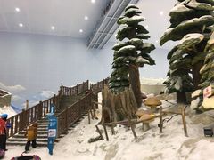 -哈尔滨热雪奇迹