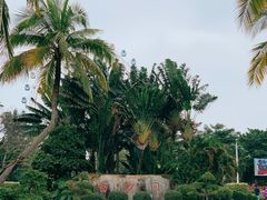 -白沙门生态公园