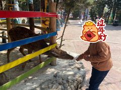 -汕头蓝水星欢乐世界