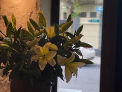 -Apollo·西班牙小酒馆(安福路店)