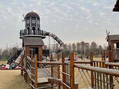 -上海长兴岛郊野公园