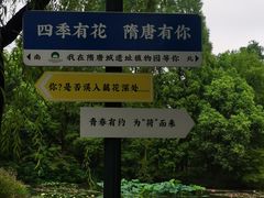 -洛阳市隋唐城遗址植物园