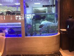 -安蒂娅.悦景轩中餐厅(西乡店)