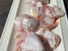 鱼肚-肥鱼屯活鱼锅(惠工街店)