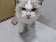 -心仪动物医院·牙专科·肿瘤·心脏科(西客站院)