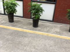 -中化道达尔加油站(周家嘴路站)