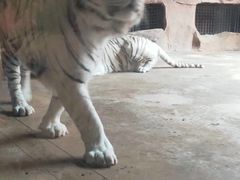 -鄂尔多斯野生动物园