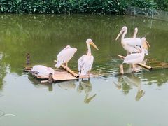 -宁波杭州湾国家湿地公园