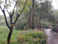 -西安市长乐公园