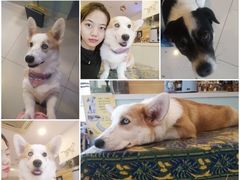 -平行世界·猫咖(首经贸店)
