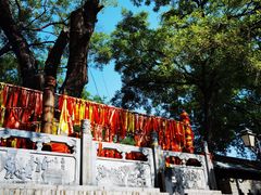 -大槐树寻根祭祖园