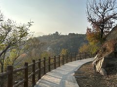 -白水寺森林公园
