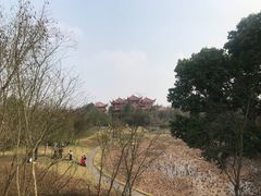 -涞滩古镇
