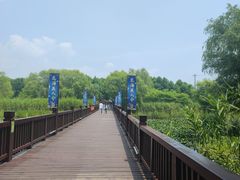 -苏州太湖国家湿地公园