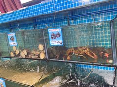 -范饭椰林川湘味海鲜·椰子鸡(三亚湾椰梦长廊店)