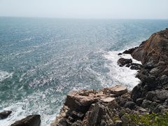 -广东惠东海龟国家级自然保护区