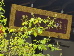 -十八棵（老龙井）御茶园(老龙井店)