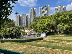 -龙凤山庄影视度假村