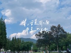 -东钱湖旅游度假区