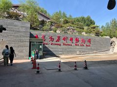 -青藏高原野生动物园