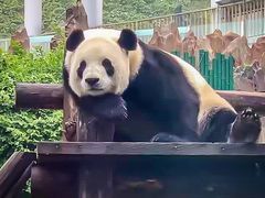 -大连森林动物园