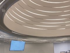 -喜茶(迪士尼小镇DP店)