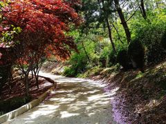 -石岛赤山风景区