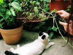 -老屋咖啡