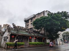 -老妈宫粽球