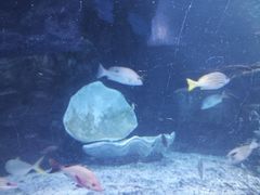 -太平洋海底世界