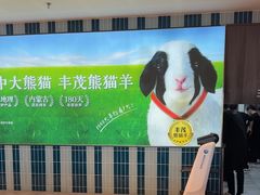 -丰茂烤串(公园店)