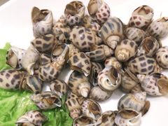 -宝燕海鲜(好爱店)