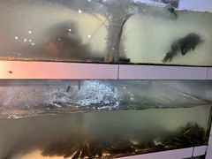 -李幺师鱼馆