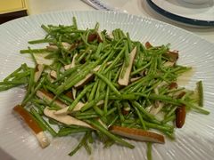 -丁老爷子苏香圆