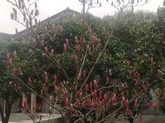 -苏州大学(天赐庄校区)