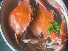 -牛New寿喜烧(金鹰世界店)